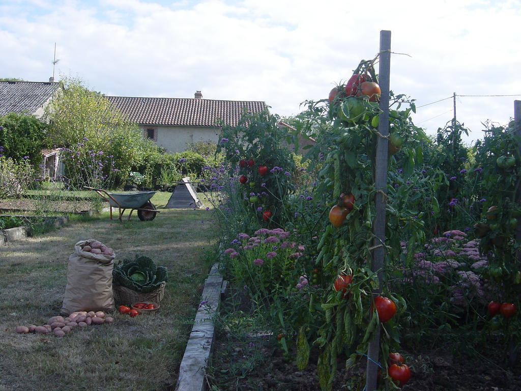 Вилла Chez Tartaud Lathus St Remy Экстерьер фото